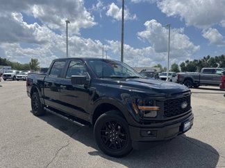 Certified 2024 Ford F150 STX w/ STX Black Appearance Package image 1