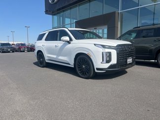 New 2025 Hyundai Palisade Calligraphy image 1