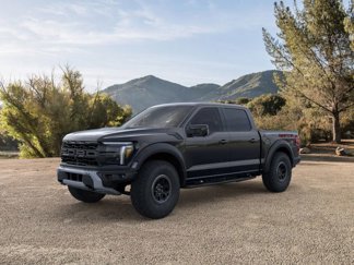 New 2025 Ford F150 Raptor image 1