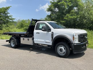 New 2025 Ford F550 4x4 Regular Cab Super Duty image 1