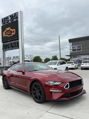 Used 2019 Ford Mustang Coupe w/ Equipment Group 101A image 1