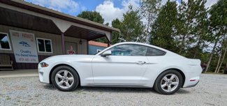 Used 2019 Ford Mustang Coupe image 1