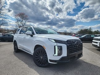 New 2025 Hyundai Palisade Calligraphy image 1