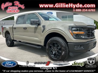 New 2025 Ford F150 STX w/ Equipment Group 201A FX4 image 1