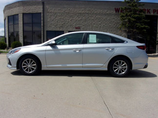 Used 2019 Hyundai Sonata ECO image 1