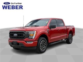 Certified 2023 Ford F150 XLT w/ Equipment Group 302A High image 1