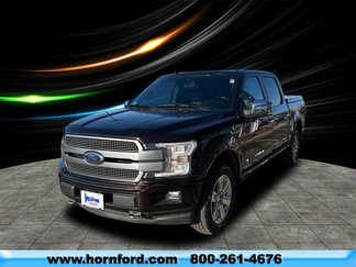 Used 2019 Ford F150 Platinum w/ Equipment Group 701A Luxury image 1
