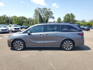 New 2026 Honda Odyssey Elite video 2