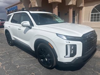 New 2025 Hyundai Palisade XRT image 1
