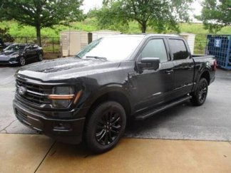 Used 2025 Ford F150 XLT w/ Equipment Group 302A MID image 1
