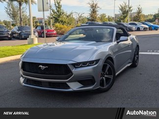Used 2024 Ford Mustang Premium image 1