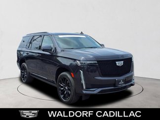 Used 2022 Cadillac Escalade Sport Platinum w/ LPO, ONYX Package image 1