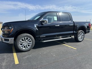 New 2025 Ford F150 XLT w/ Equipment Group 303A High image 1