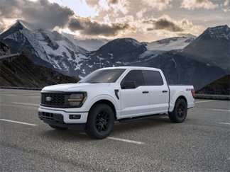 New 2025 Ford F150 STX image 1