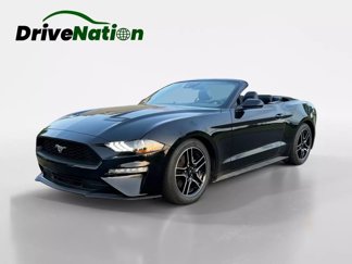 Used 2023 Ford Mustang Premium image 1