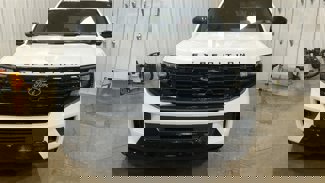 New 2025 Ford Expedition Platinum image 1