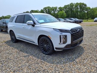 New 2025 Hyundai Palisade Calligraphy image 1