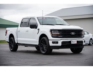 Used 2024 Ford F150 XLT image 1