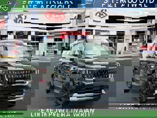 New 2026 Kia Carnival image 1