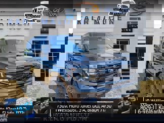 New 2025 Ford Expedition Platinum w/ Stealth Performance Package image 1
