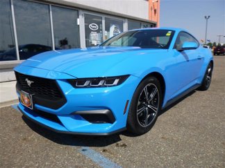 Used 2024 Ford Mustang Premium image 1