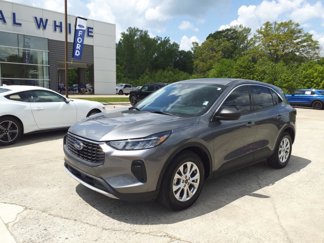 Used 2024 Ford Escape Active image 1