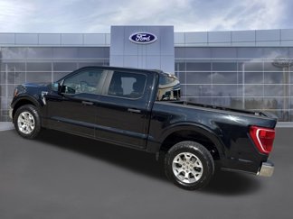 Used 2023 Ford F150 XLT video 3
