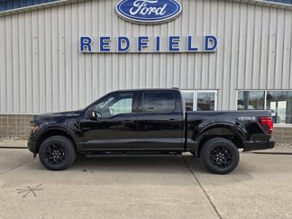 New 2025 Ford F150 XLT image 1