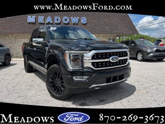 Used 2023 Ford F150 Platinum image 1