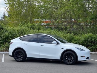 Used 2020 Tesla Model Y Long Range image 1