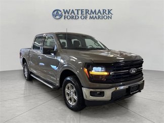 New 2025 Ford F150 XLT w/ Equipment Group 301A Standard image 1