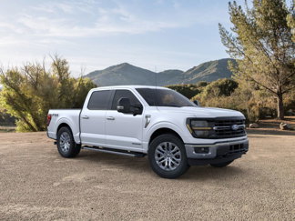 New 2025 Ford F150 XLT w/ Equipment Group 303A High image 1