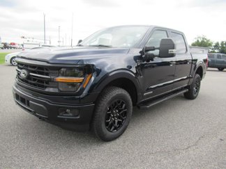 New 2025 Ford F150 XLT image 1