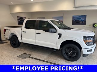 New 2025 Ford F150 STX w/ STX Black Appearance Package image 1