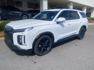 New 2025 Hyundai Palisade XRT image 1