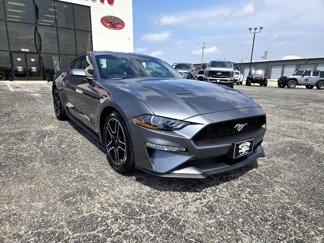 Used 2022 Ford Mustang Coupe image 1