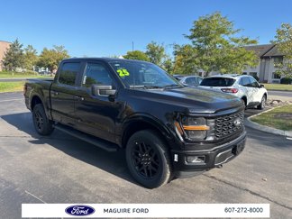New 2025 Ford F150 STX image 1