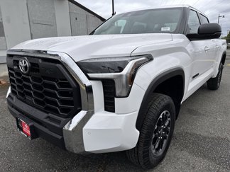 New 2025 Toyota Tundra SR5 image 1