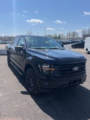 Certified 2025 Ford F150 XLT w/ Equipment Group 302A MID 360° Tour