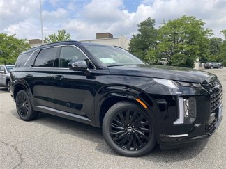 New 2025 Hyundai Palisade Calligraphy image 1