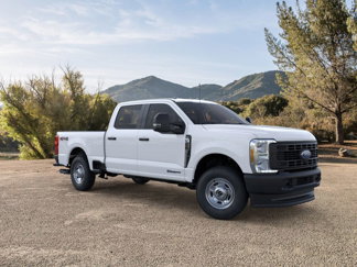 New 2025 Ford F250 XL image 1