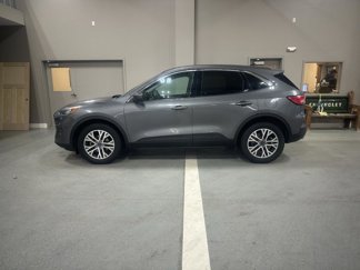 Used 2022 Ford Escape SEL image 1