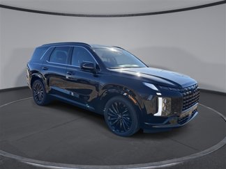 New 2025 Hyundai Palisade Calligraphy image 1