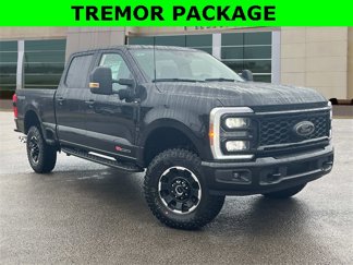New 2025 Ford F250 XLT image 1