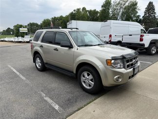 Used 2011 Ford Escape XLT image 1