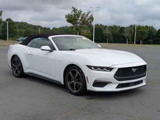 Certified 2024 Ford Mustang Premium image 1