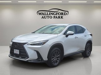 Used 2024 Lexus NX 250 AWD w/ Cold Area Package image 1