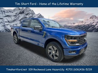 New 2025 Ford F150 STX image 1