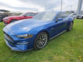 Used 2023 Ford Mustang GT Premium w/ Equipment Group 401A image 1
