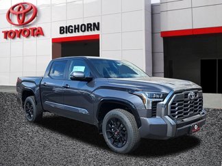 New 2025 Toyota Tundra Platinum image 1